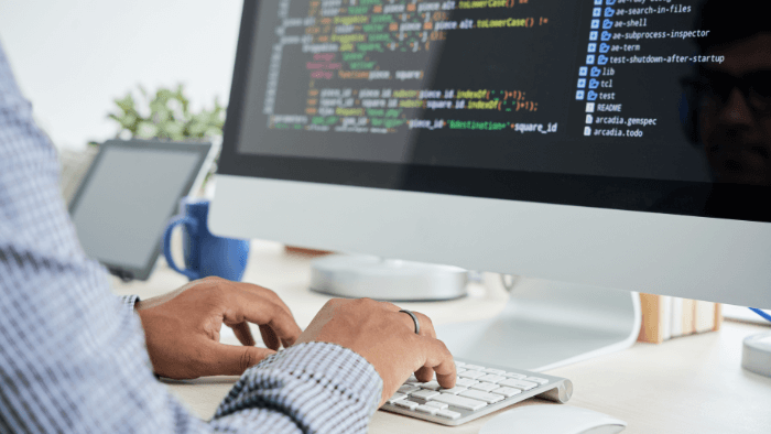 Developing Custom Software Development Custom Software Development