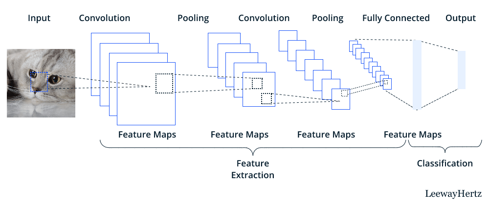 Convolutional Neural Networks (CNN)